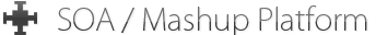 SOA / Mashup Platform